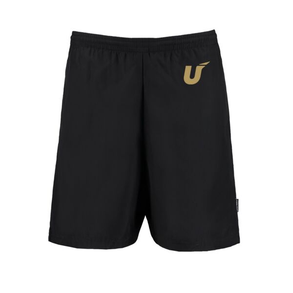 Mesh Lined Training Shorts Thumbnail